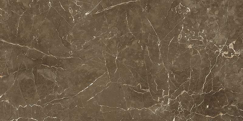 A close-up of aArmani Brown 600x1200 mm Polished Finish with a Glossy finish available at Material Depot in Bangalore