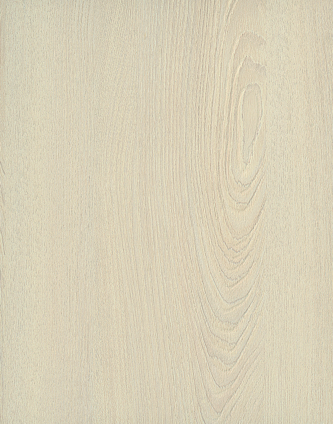 Material Depot laminates in bangalore - high quality image of a EW 958 Cream Decorative Laminate from Royale Touche with Texture finish