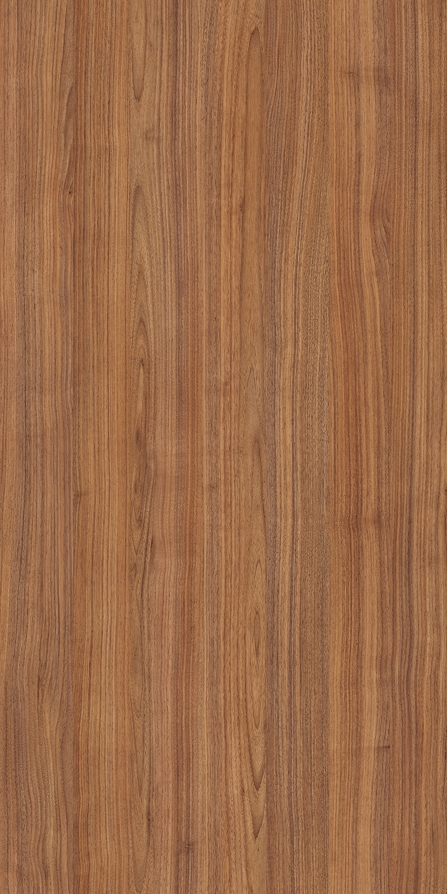 A Wardrobe or kitchen cabinate application image of a 5581 SAT Torino Pearl Beige Decorative Laminate of 1 mm with a Satin finish available at Material Depot in Bangalore