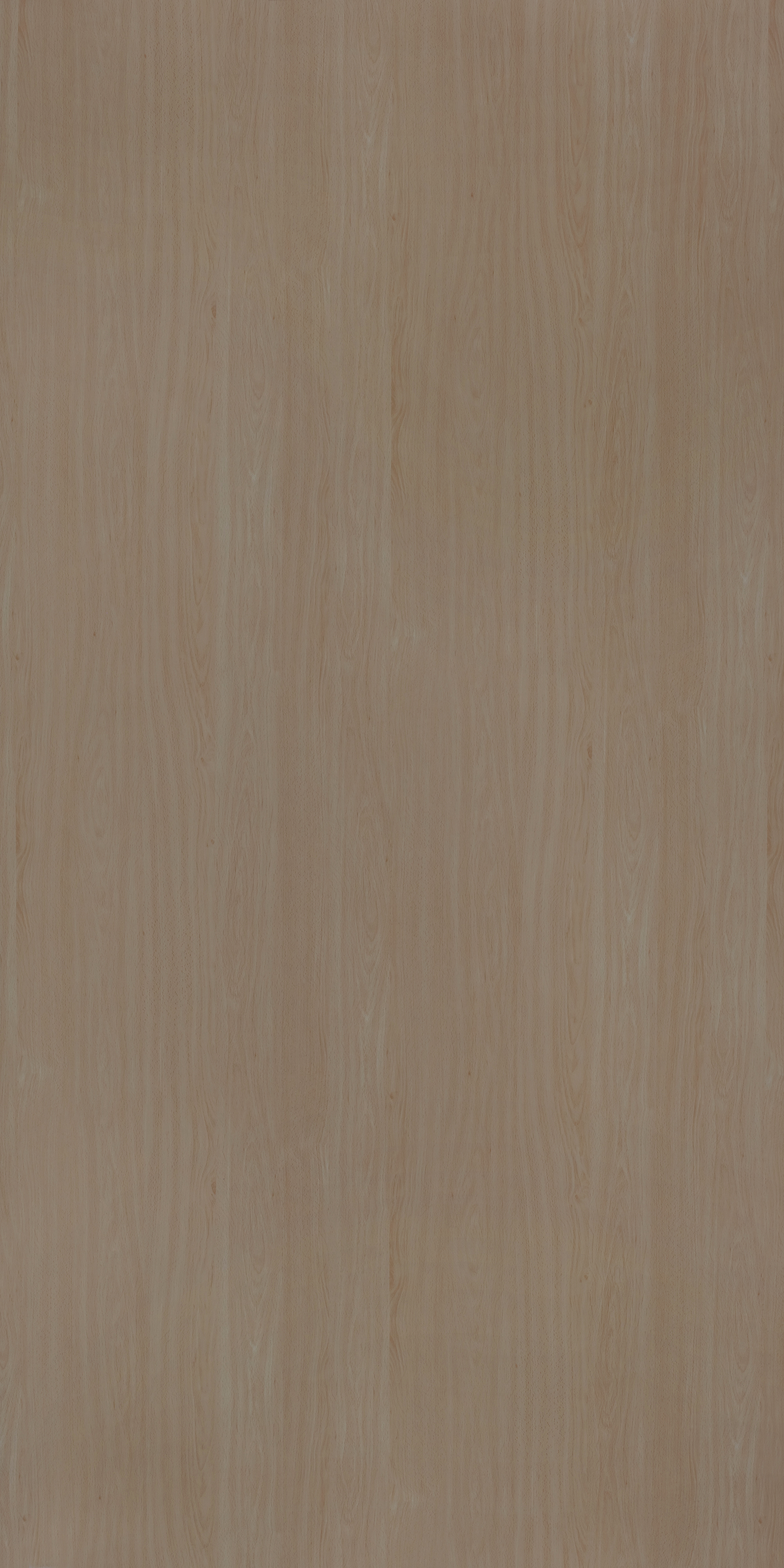 Material Depot laminates in bangalore - high quality image of a 10036 White Beech Gold Decorative Laminate from Merino Laminates with Suede finish