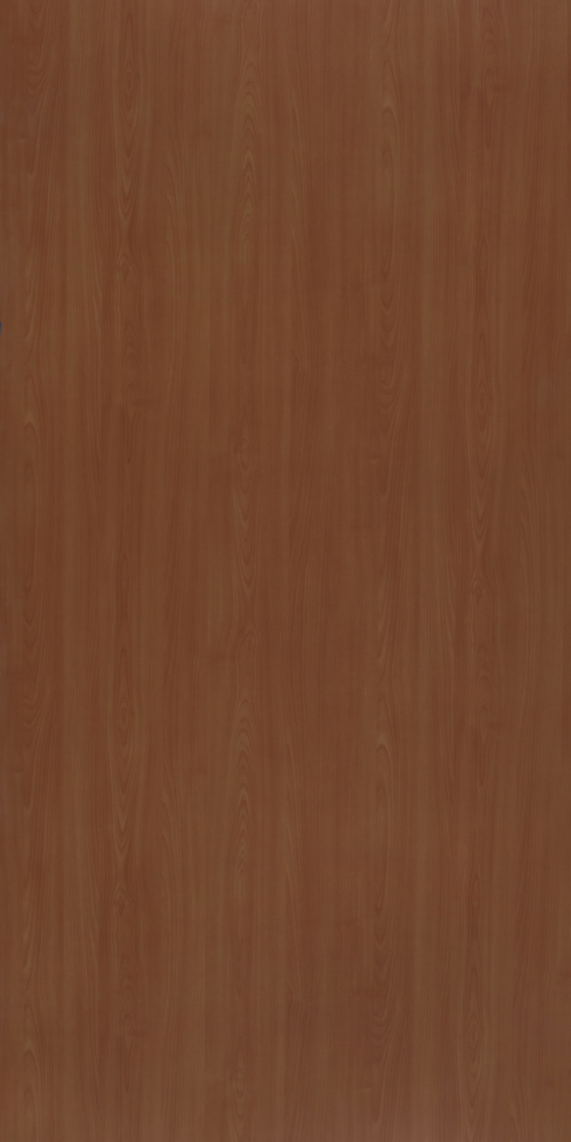 A close-up of a Brown 10095 Wild Maple with a Suede finish Decorative Laminate available at Material Depot in Bangalore