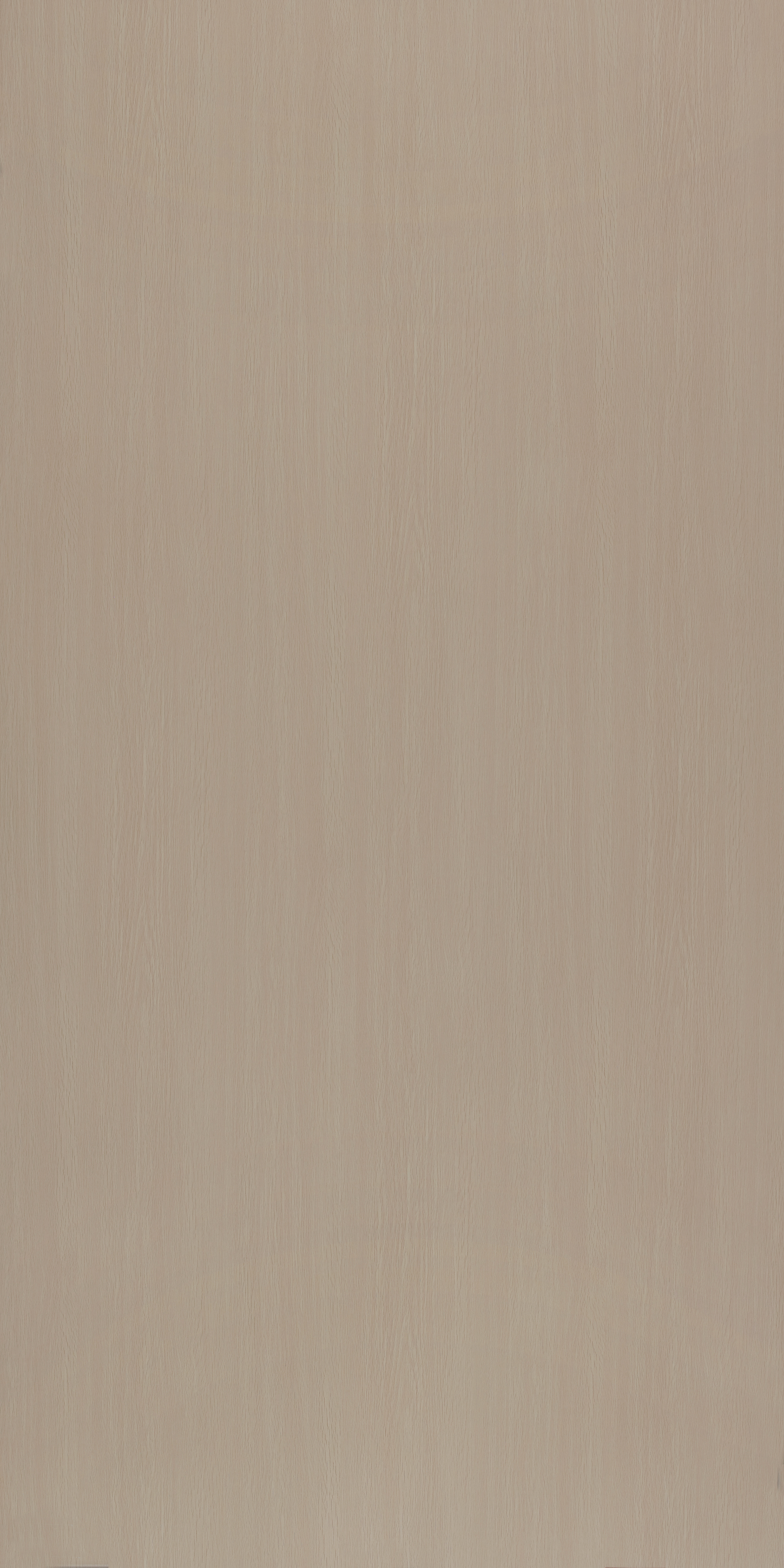 Material Depot laminates in bangalore - high quality image of a 10313 SF Kansas Wood Beige Decorative Laminate from Merino Laminates with Suede finish