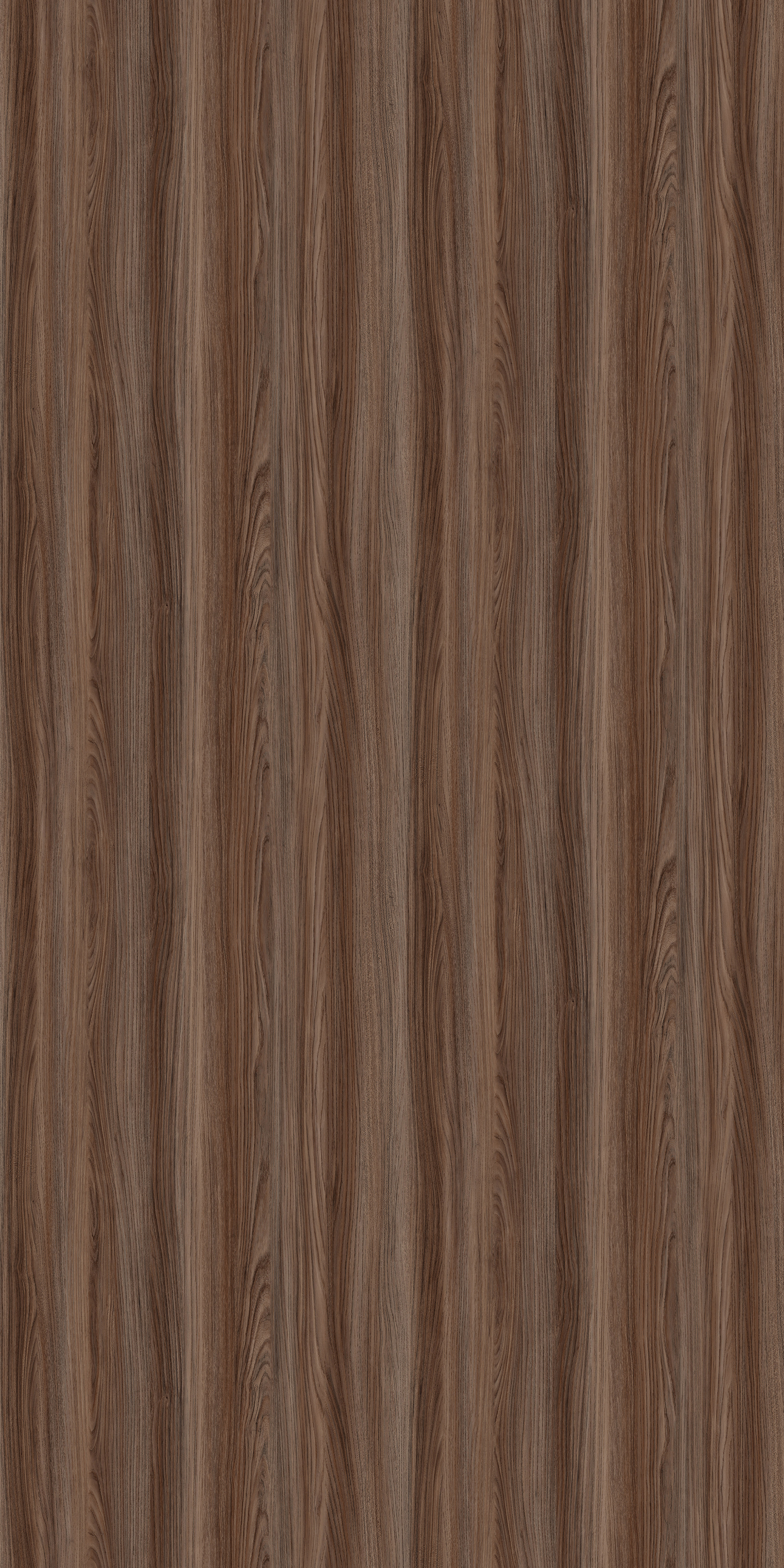 A close-up of a Brown 13023 TD Cerro Walnut with a Texture finish Decorative Laminate available at Material Depot in Bangalore