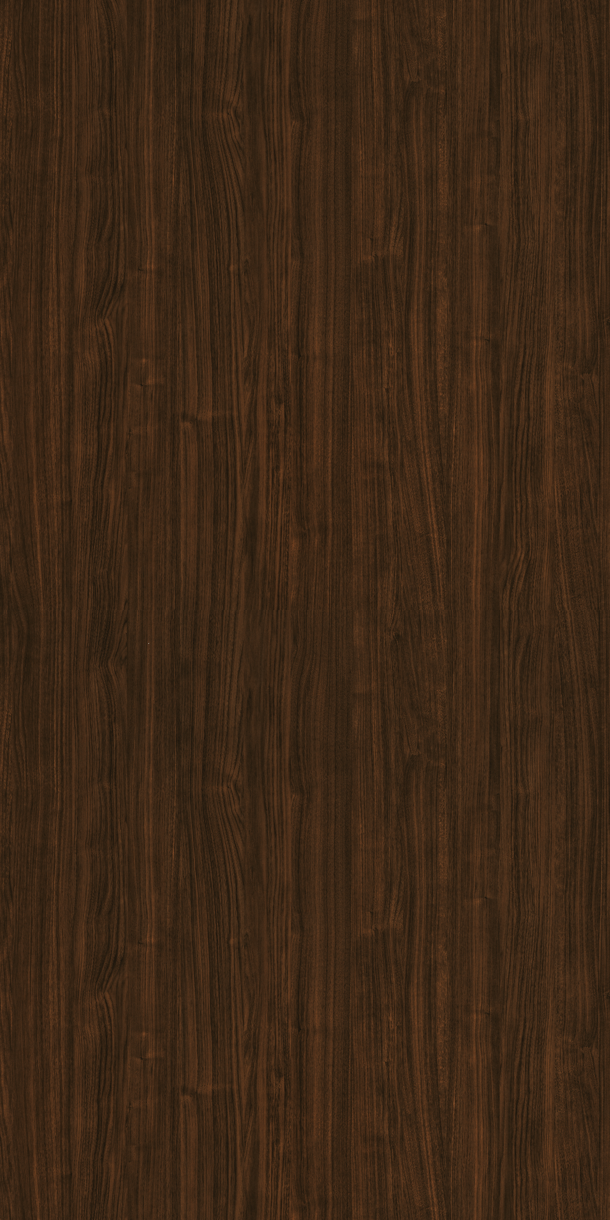 A close-up of a Black 13024 SGL Yokon Wood with a High Gloss finish Decorative Laminate available at Material Depot in Bangalore