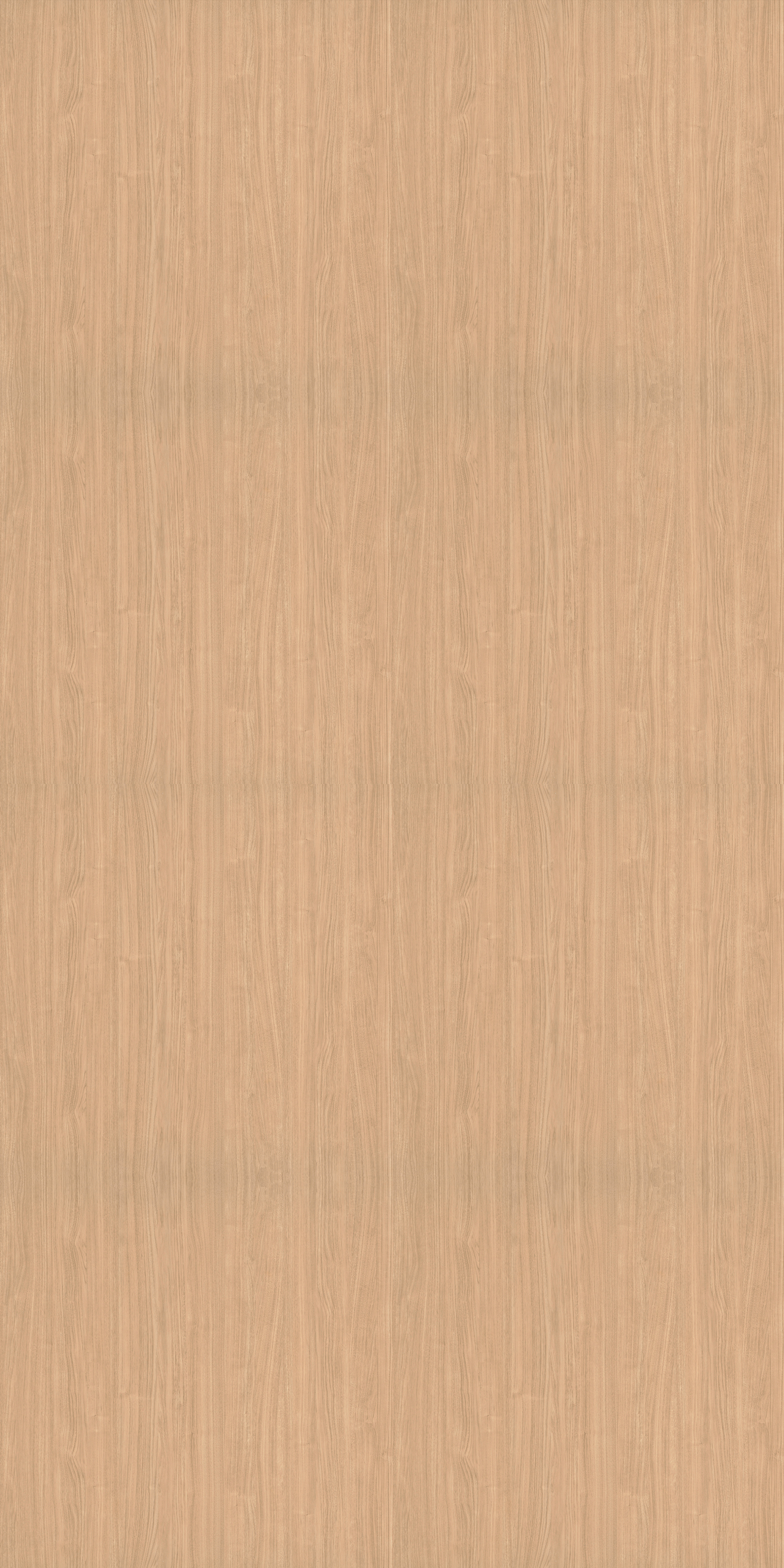 Material Depot laminates in bangalore - high quality image of a 13026 SF Laptev Walnut Cream Decorative Laminate from Merino Laminates with Suede finish