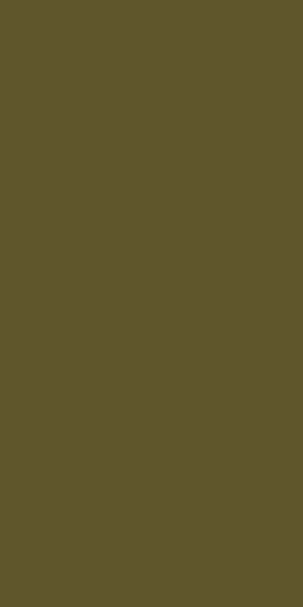 21023 Dark Citrus 8 ft x 4 ft Glossy Finish Meister Surface MDF - 18 mm | Image 01