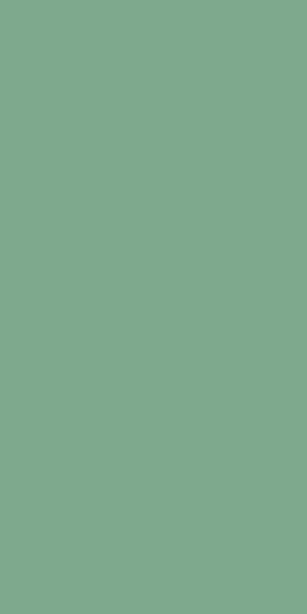 22153 Saga Green 8 ft x 4 ft Glossy Finish Meister Surface MDF - 18 mm | Image 01