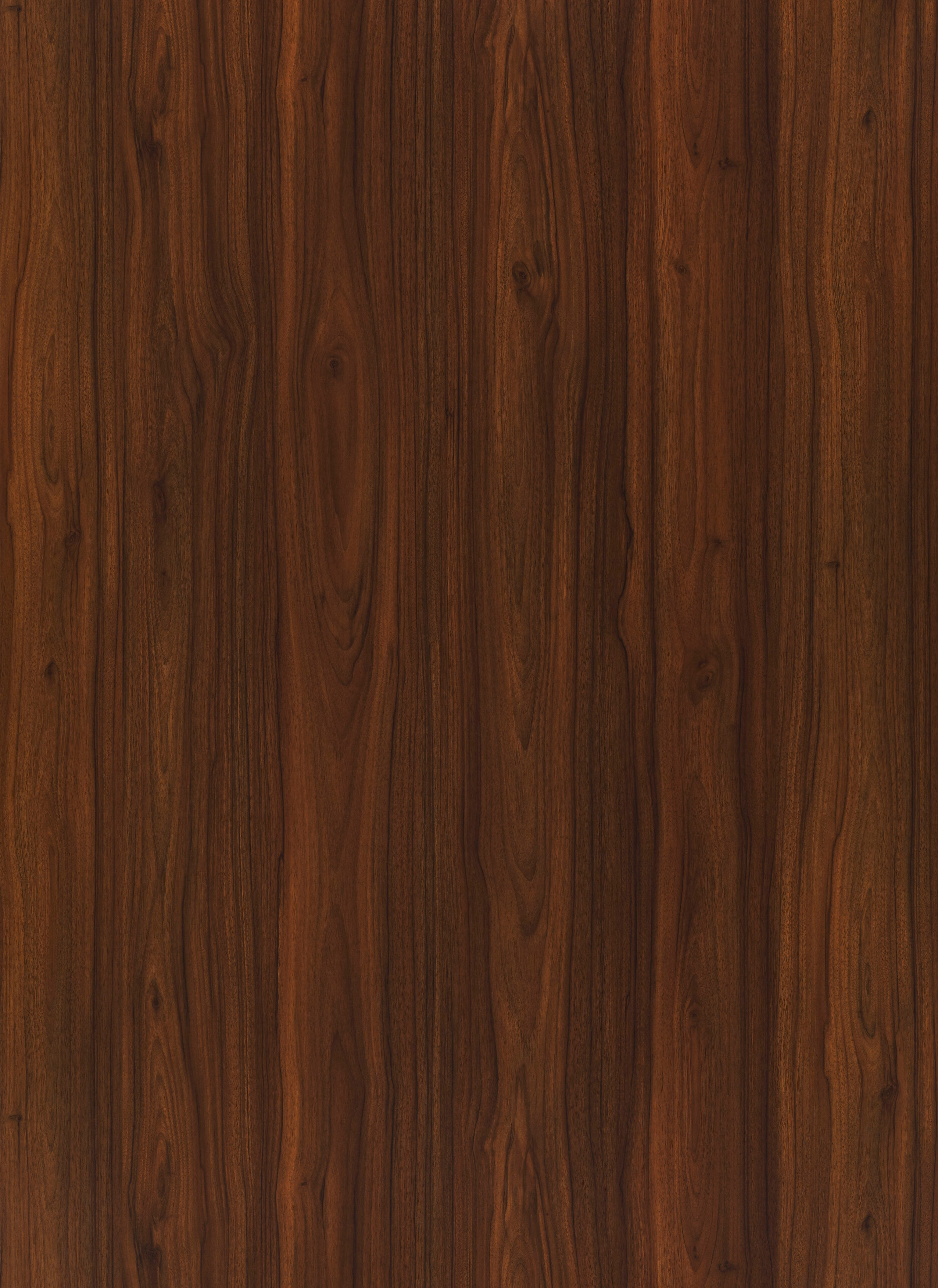 83405 Brown Liner Laminate of 0.8 mm with a Texture finish available for sale at Material Depot in Bangalore