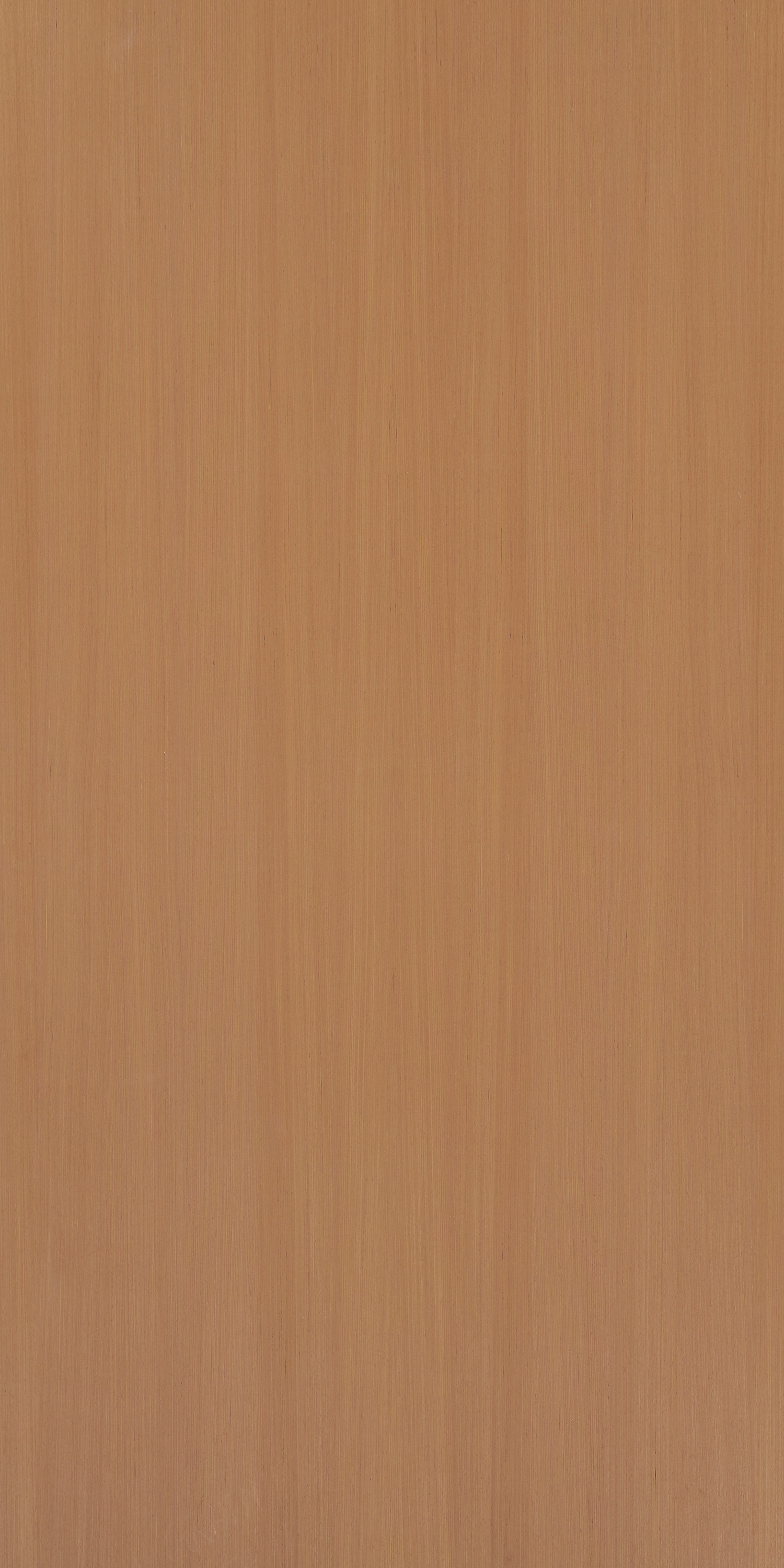 Almond Teak F853 Teak 2440x1220 mm Veneer - 3.5 mm Veneers  Ivory| Image 1