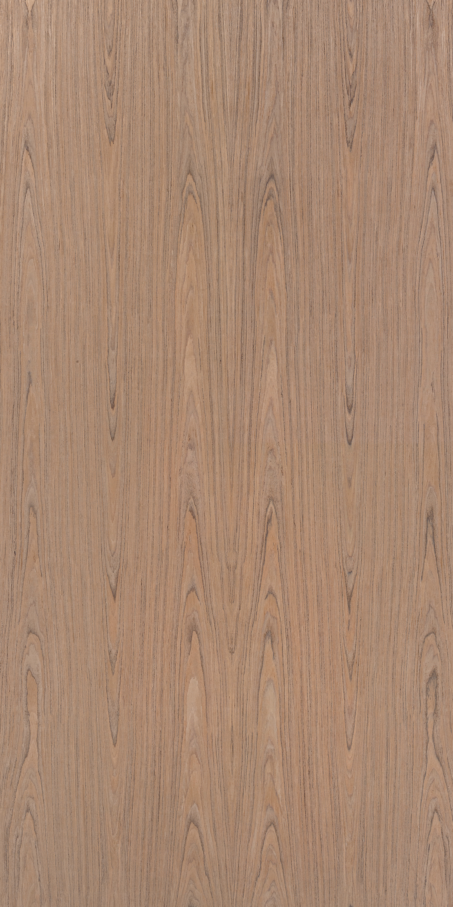 American Walnut Crown F767 Earthy 2440x1220 mm Veneer - 3.5 mm Veneers  Brown| Image 1