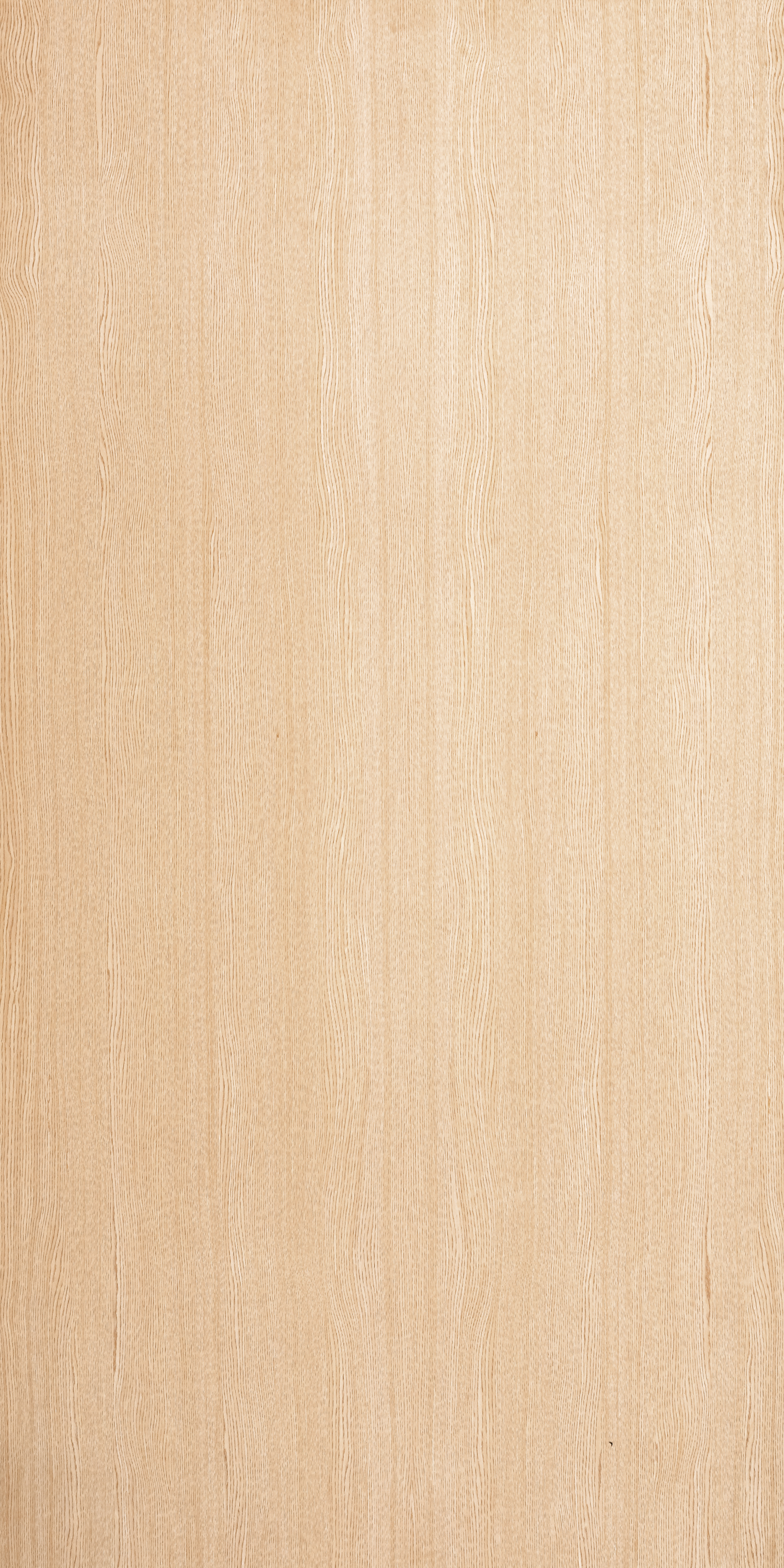 Atlantic Ash FA05 Understated 2440x1220 mm Veneer - 3.5 mm Veneers  Ivory| Image 1