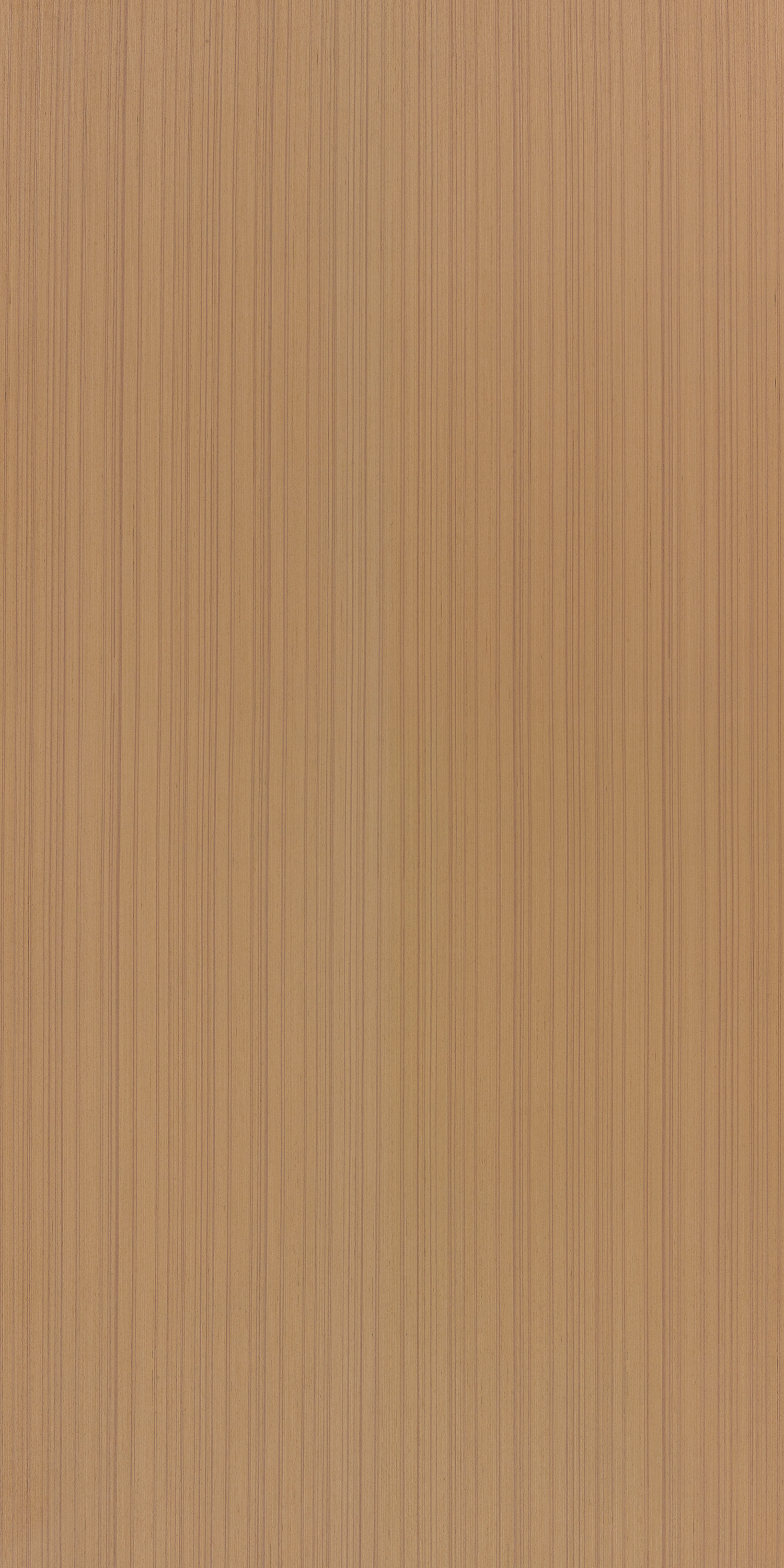 Blonde Streaks T861 Teak 2440x1220 mm Veneer - 3.5 mm Veneers  Ivory| Image 1