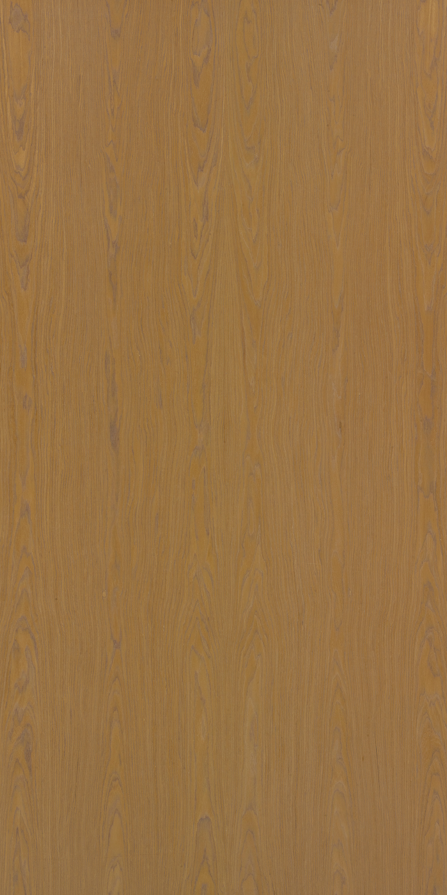 Burma Teak Crown GL F820 Teak 2440x1220 mm Veneer - 3.5 mm Veneers  Brown| Image 1