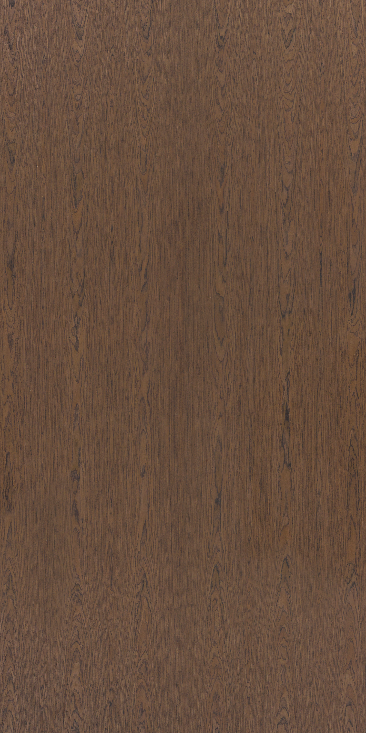 Coffee Walnut Crown F882 Sophisticated 2440x1220 mm Veneer - 3.5 mm Veneers  Brown| Image 1