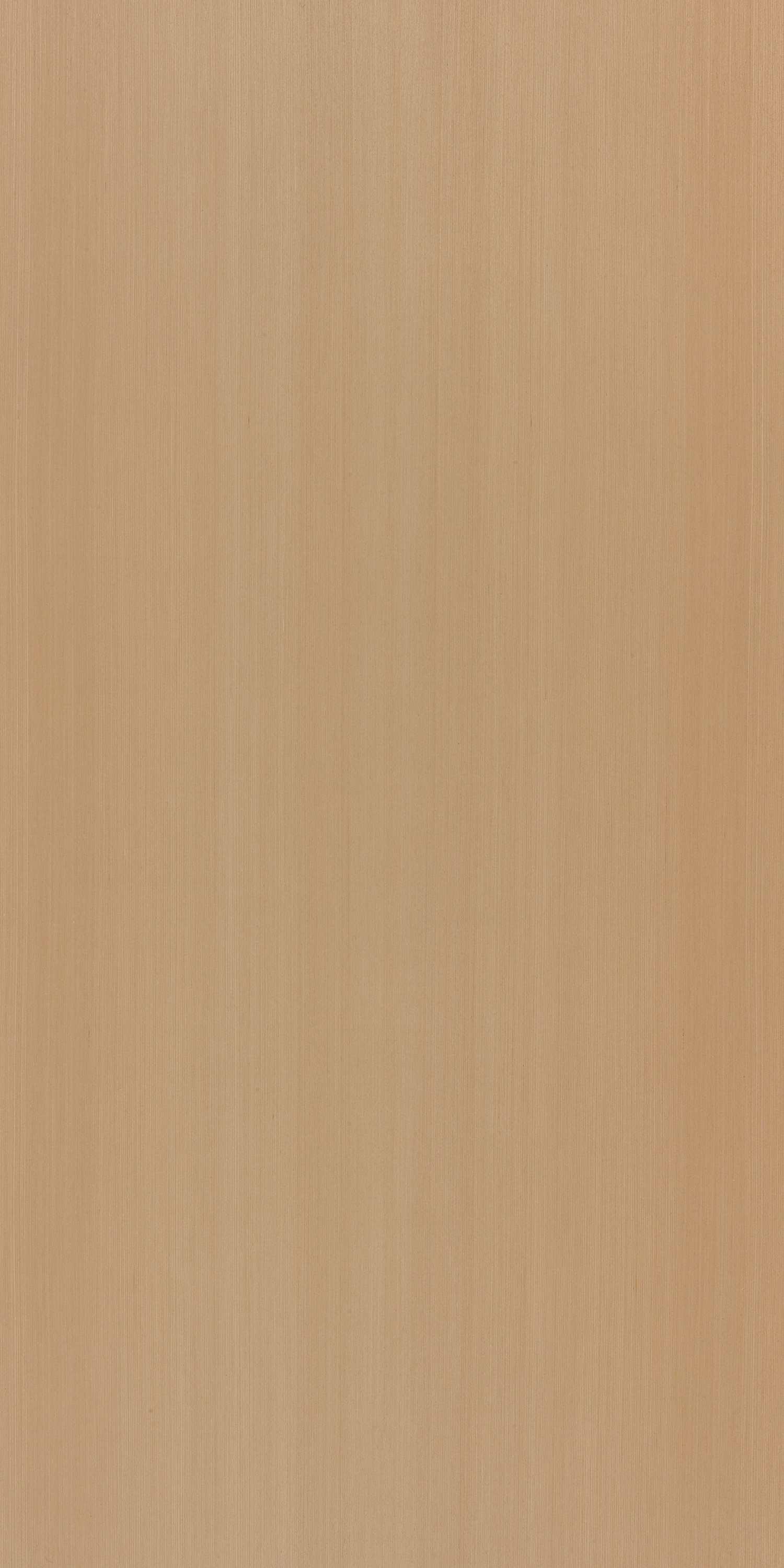 Flaxen Wash T856 Teak 2440x1220 mm Veneer - 3.5 mm Veneers  Ivory| Image 1