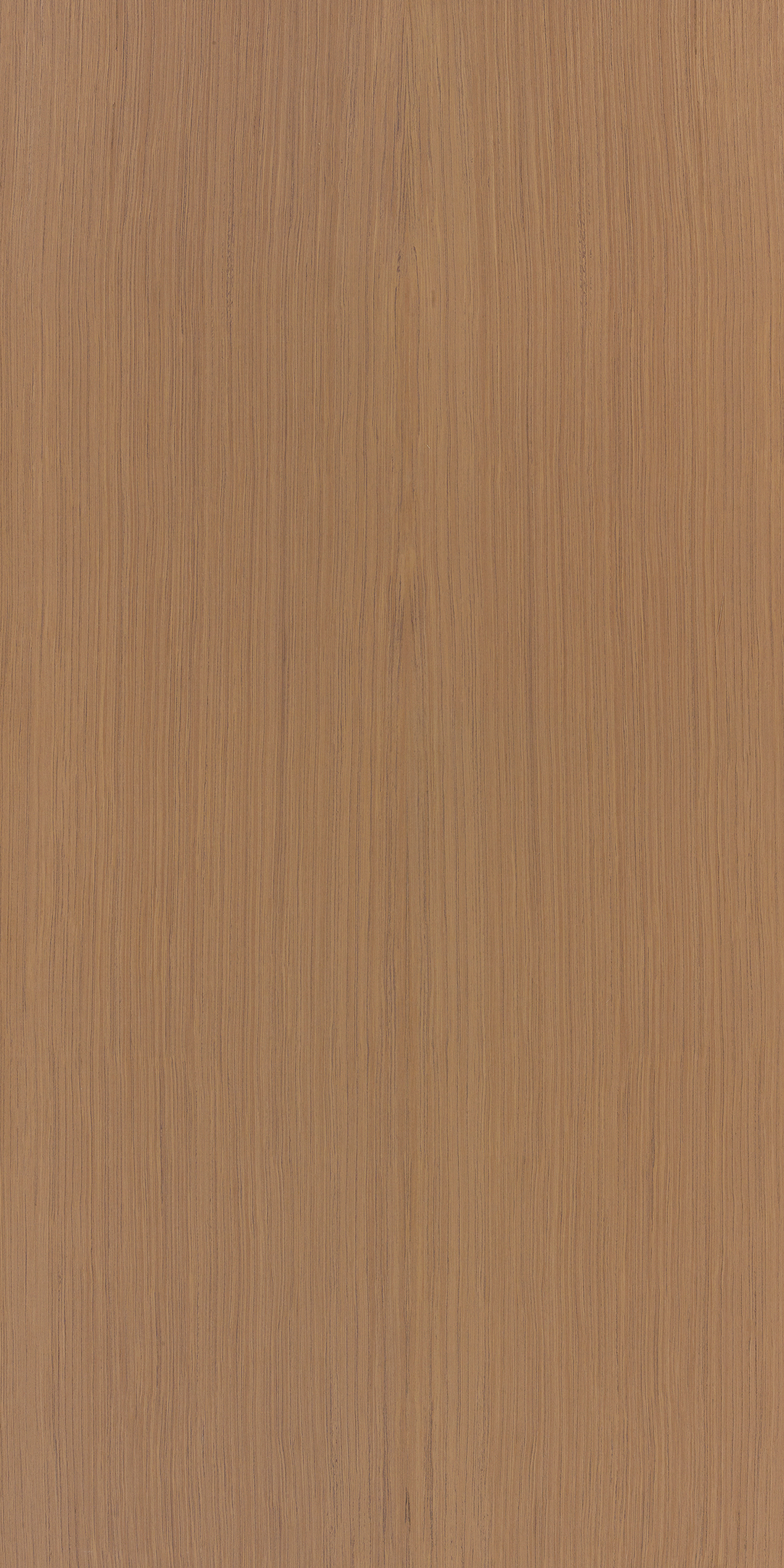 Golden Teak F779 Teak 2440x1220 mm Veneer - 3.5 mm Veneers  Brown| Image 1