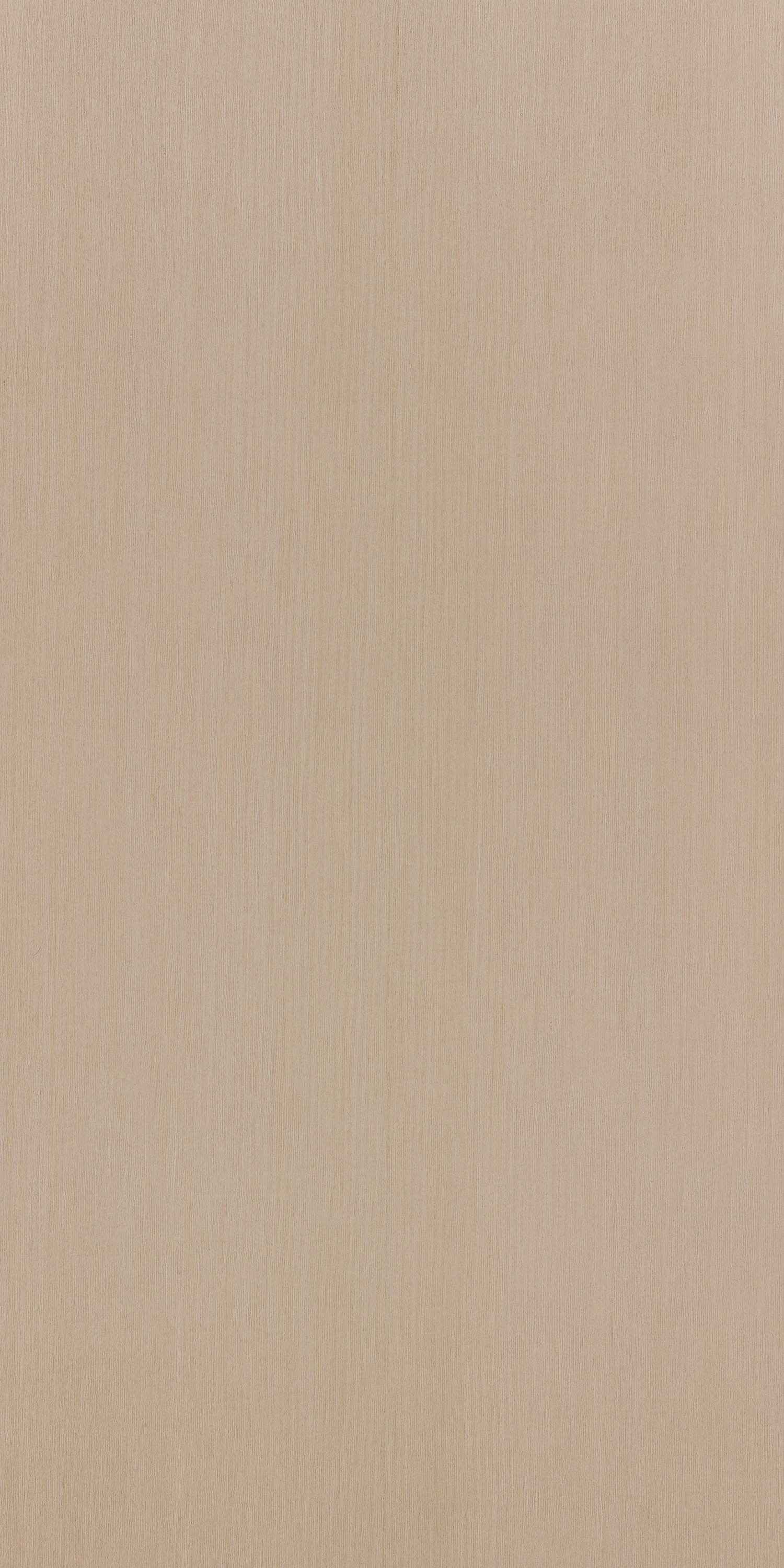 New White Oak Quarter F816 Understated 2440x1220 mm Veneer - 3.5 mm Veneers  Ivory| Image 1