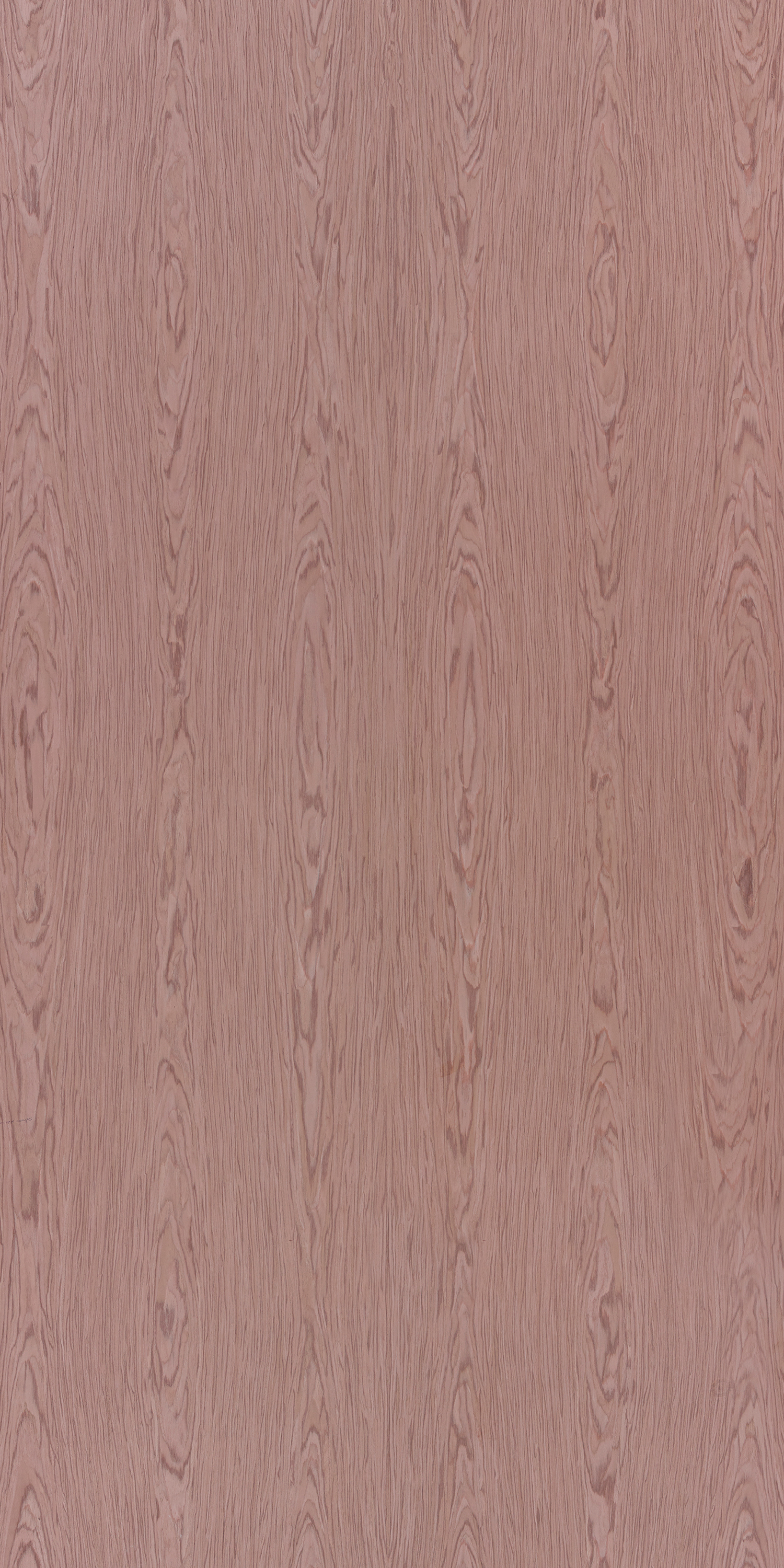 Burma Teak Crown GL F820 Teak 2440x1220 mm Veneer - 3.5 mm