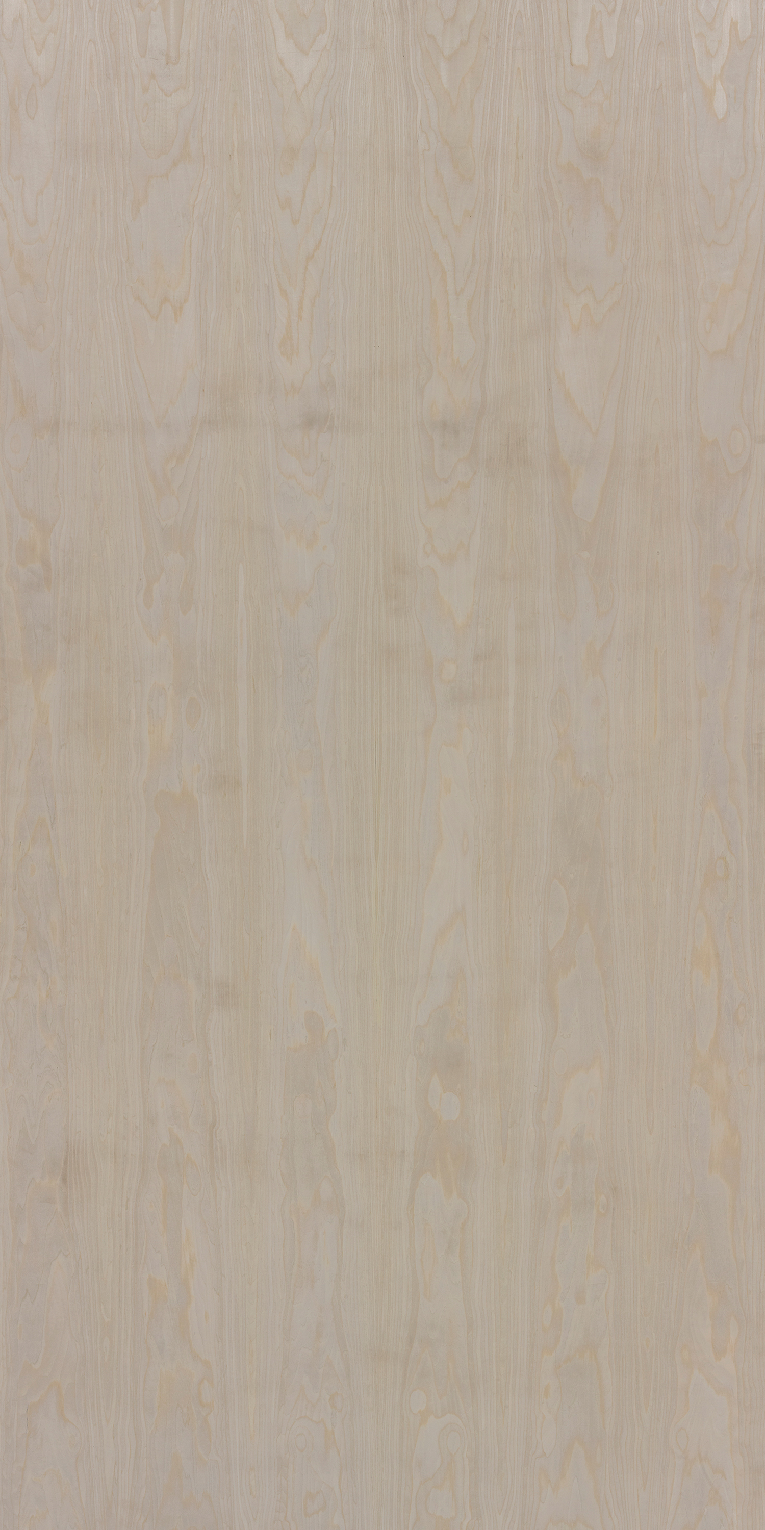 Satin Maple Crown F977 Understated 2440x1220 mm Veneer - 3.5 mm Veneers  Creame| Image 1