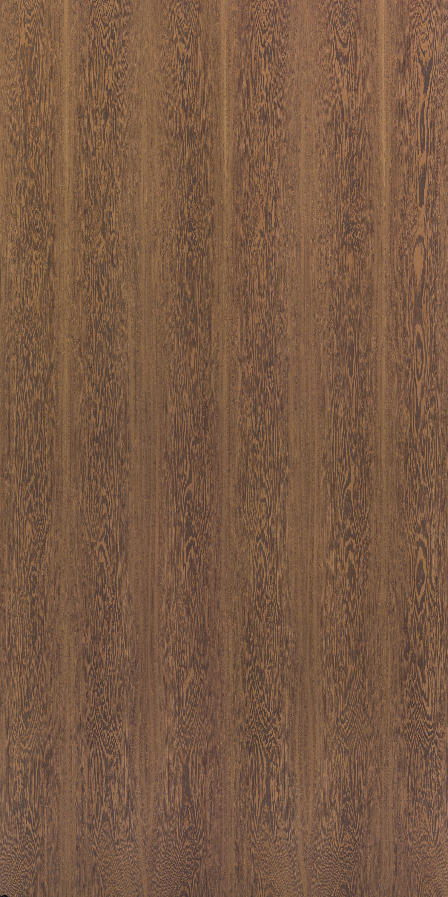 Burma Teak Crown GL F820 Teak 2440x1220 mm Veneer - 3.5 mm