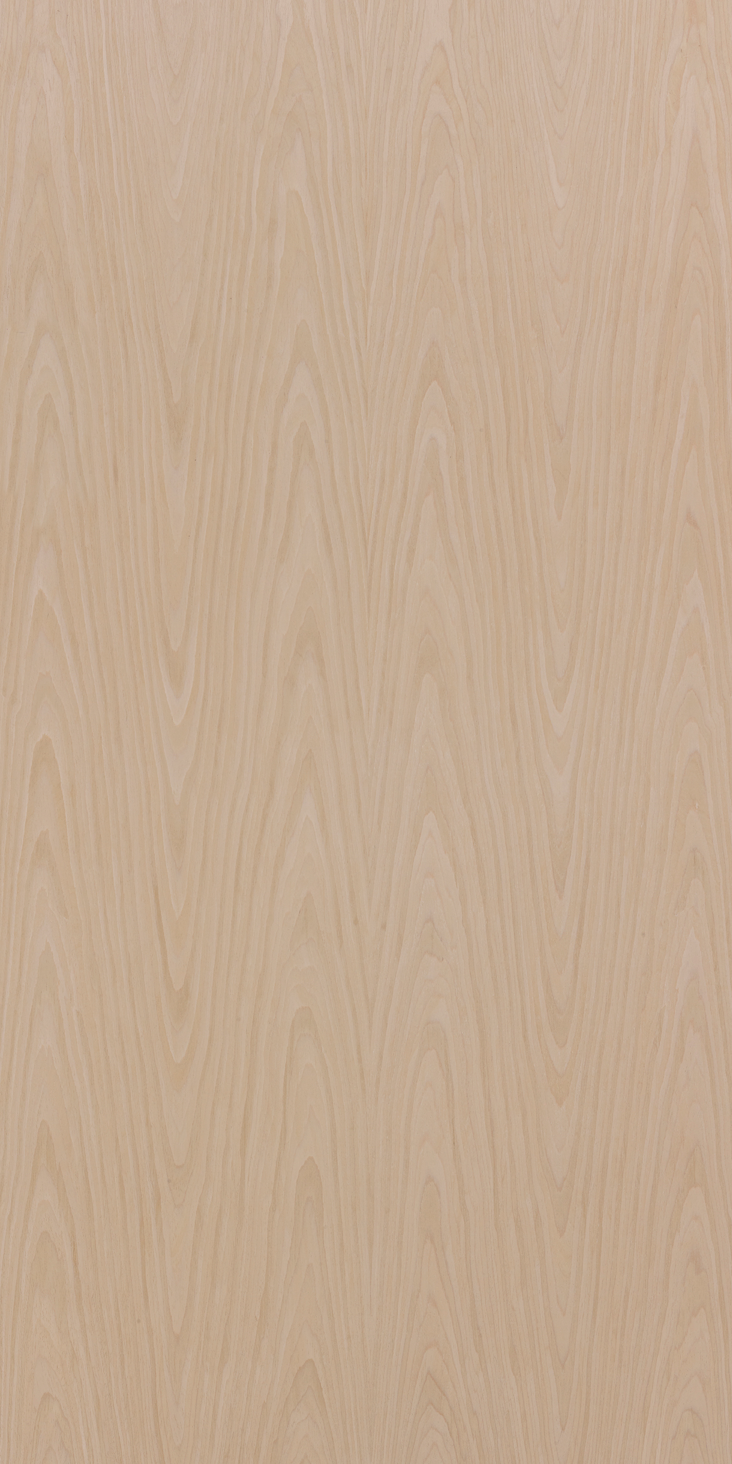 White Oak Thud Crown F612 Understated 2440x1220 mm Veneer - 3.5 mm Veneers  Ivory| Image 1