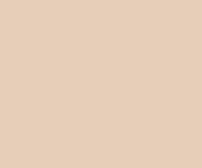 8579 Baked Biscuit Beige Colour Paint Paints  Beige| Image 1