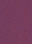 1204 GTG Rosy Pink Purple Decorative Laminate of 0.8 mm with a High Gloss finish available for sale at Material Depot in Bangalore