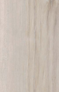 Material Depot laminates in bangalore - high quality image of a 2872 SF Occer Light Wood Beige Decorative Laminate from Virgo with Suede finish