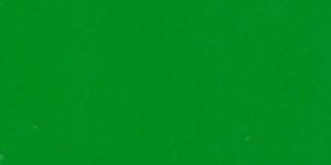 1026 22x0.8 mm Gloss PVC Edge Band Solid Series 1 Meter - 0.8 mm Edgebands  Green| Image 1