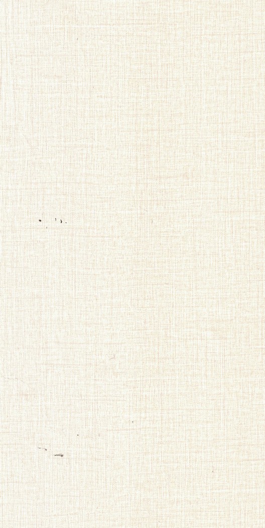 5566 SUD Clear Mesh 8 ft x 4 ft Suede Finish Laminate - 1 mm