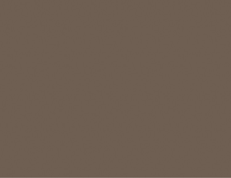 2429 G Cappuccino 8 Ft x 4 Ft Icore Series Designer Laminates  - 1 mm| Image 1