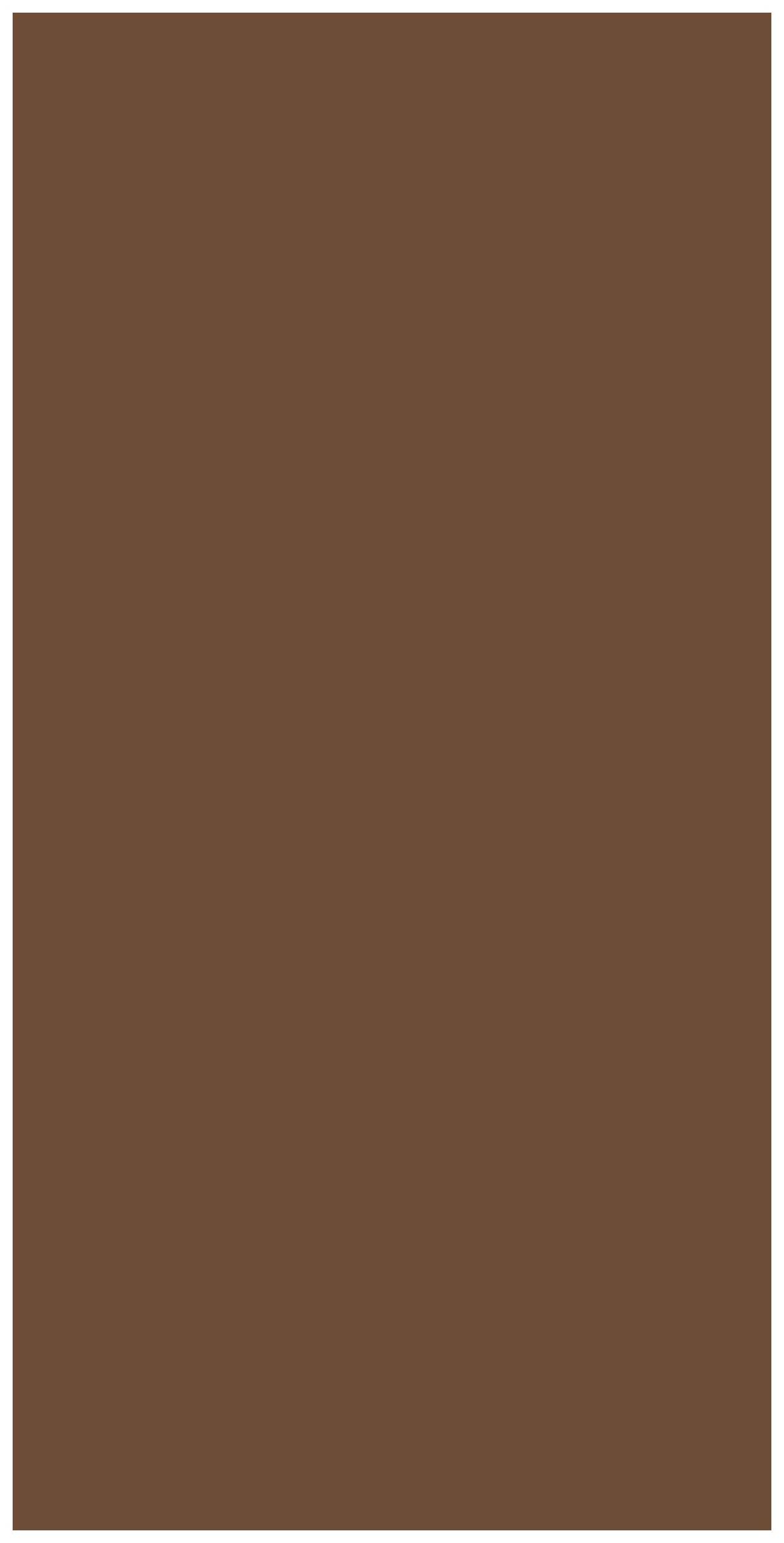 223 SF Solid Series Browny 8 ft x 4 ft Suede Finish Laminate - 1 mm| Image 1