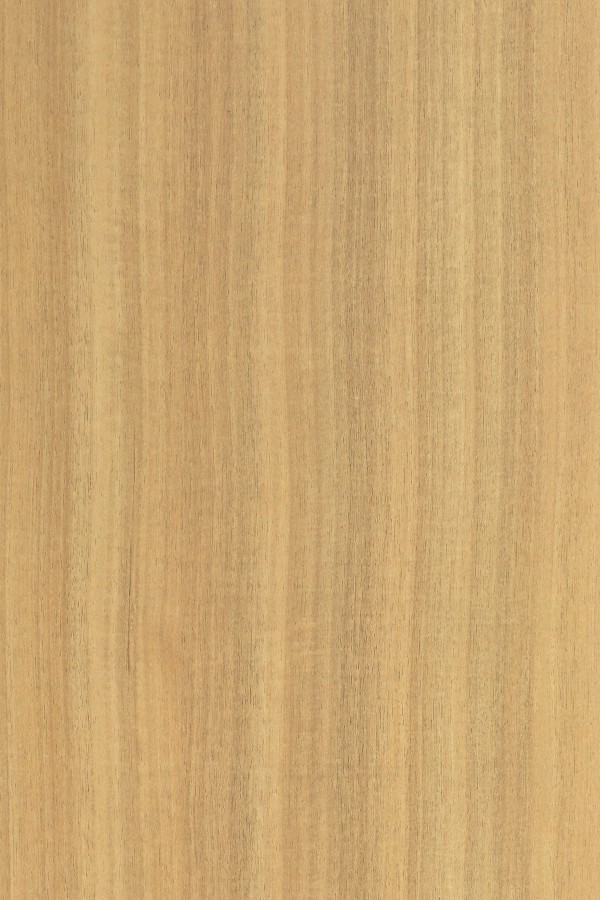 544 SF Sapelli Beige Decorative Laminate of 1 mm with a Suede finish available for sale at Material Depot in Bangalore