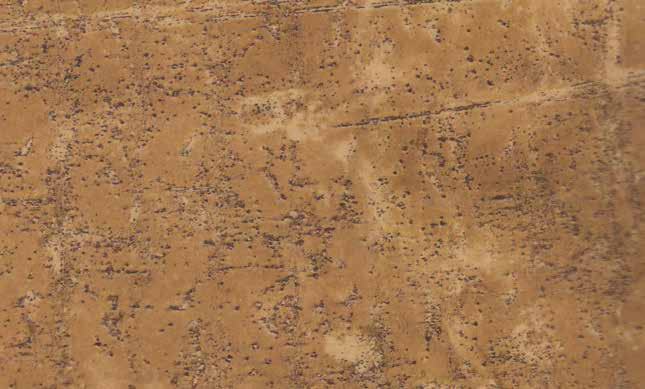 Airolite Decorative 1741 GLS Glossy 8 ft x 4 ft High Gloss Finish Liner Laminate - 0.8 mm Laminates Glossy Brown| Image 2