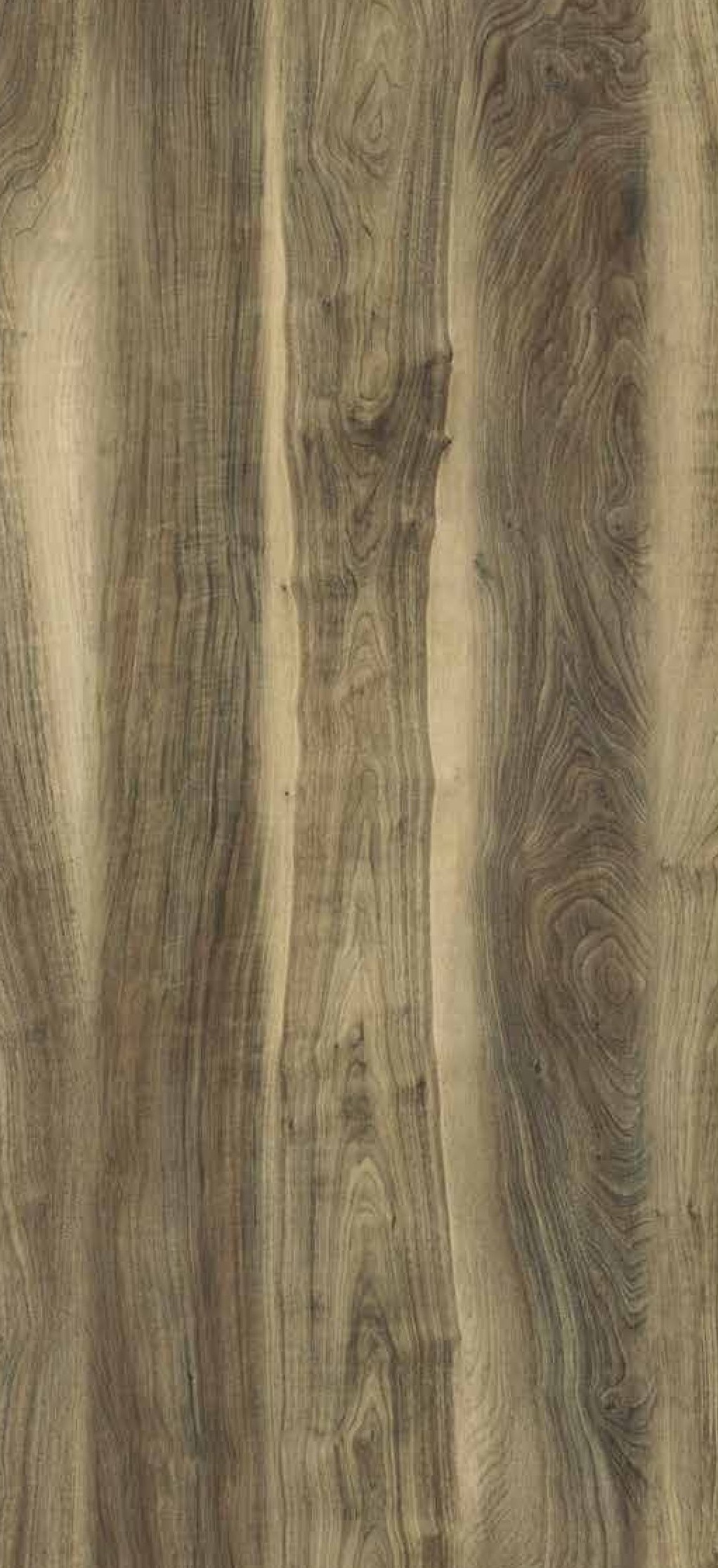 2728 HG Calabo Walnut  Brown Decorative Laminate of 1 mm with a High Gloss finish available for sale at Material Depot in Bangalore