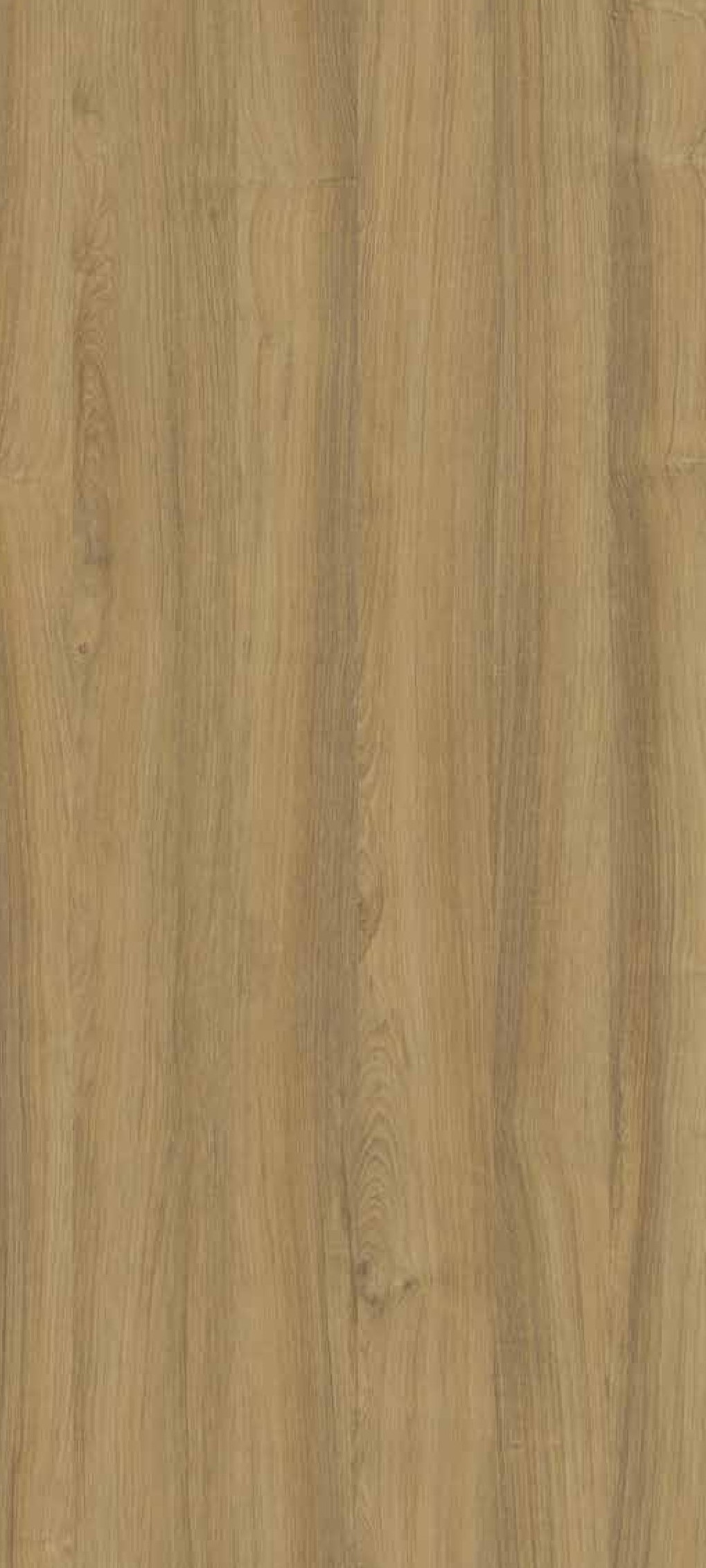 A close-up of a Brown 2903 HG Padouk Wood  with a High Gloss finish Decorative Laminate available at Material Depot in Bangalore