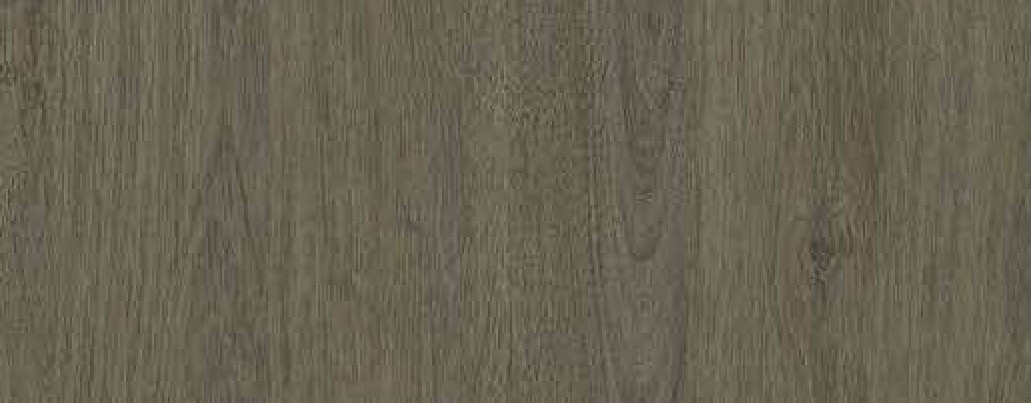 Material Depot laminates in bangalore - high quality image of a 2725 AC Slovenian Oak  Grey Decorative Laminate from Stylam with Texture finish