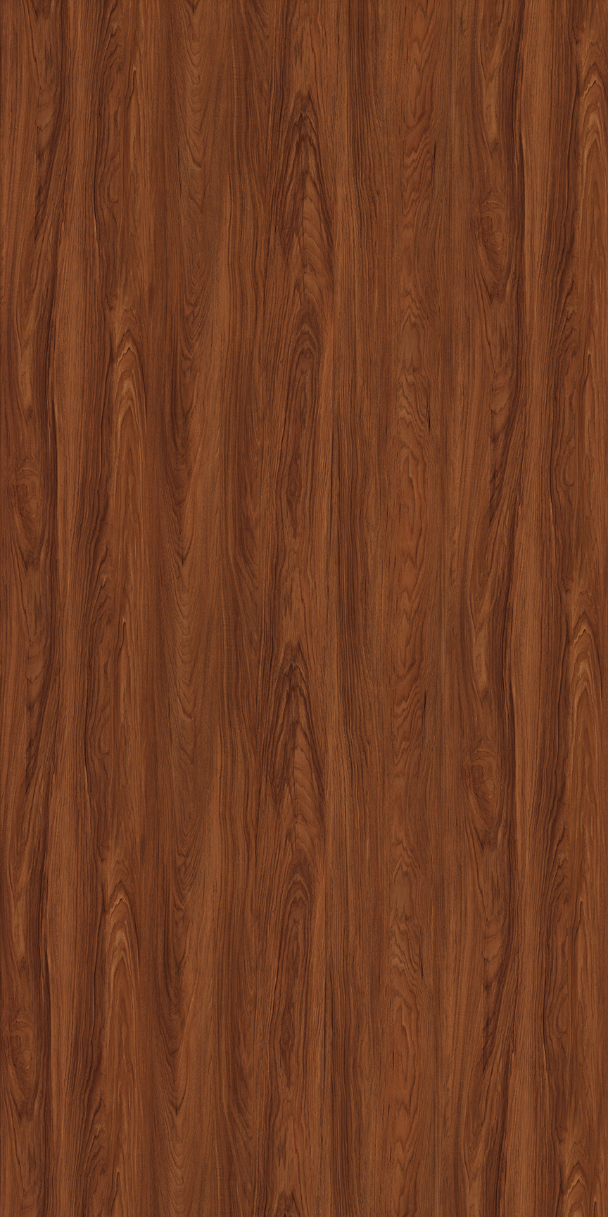 835 HGL Sessile Oak 8 ft x 4 ft High Gloss Wooden Finish Laminate