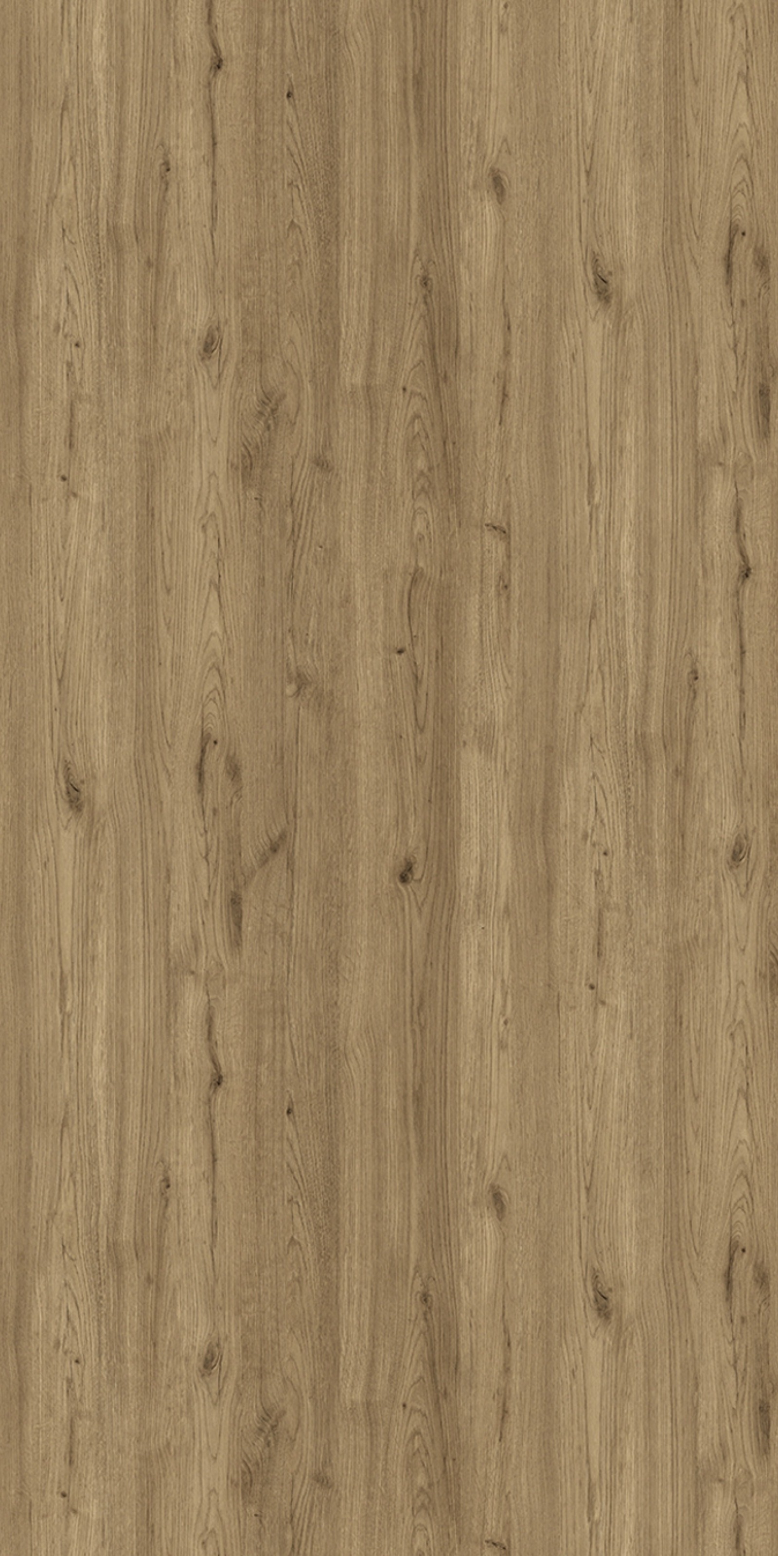 A close-up of a Brown LM 14234 C with a Texture finish Decorative Laminate available at Material Depot in Bangalore