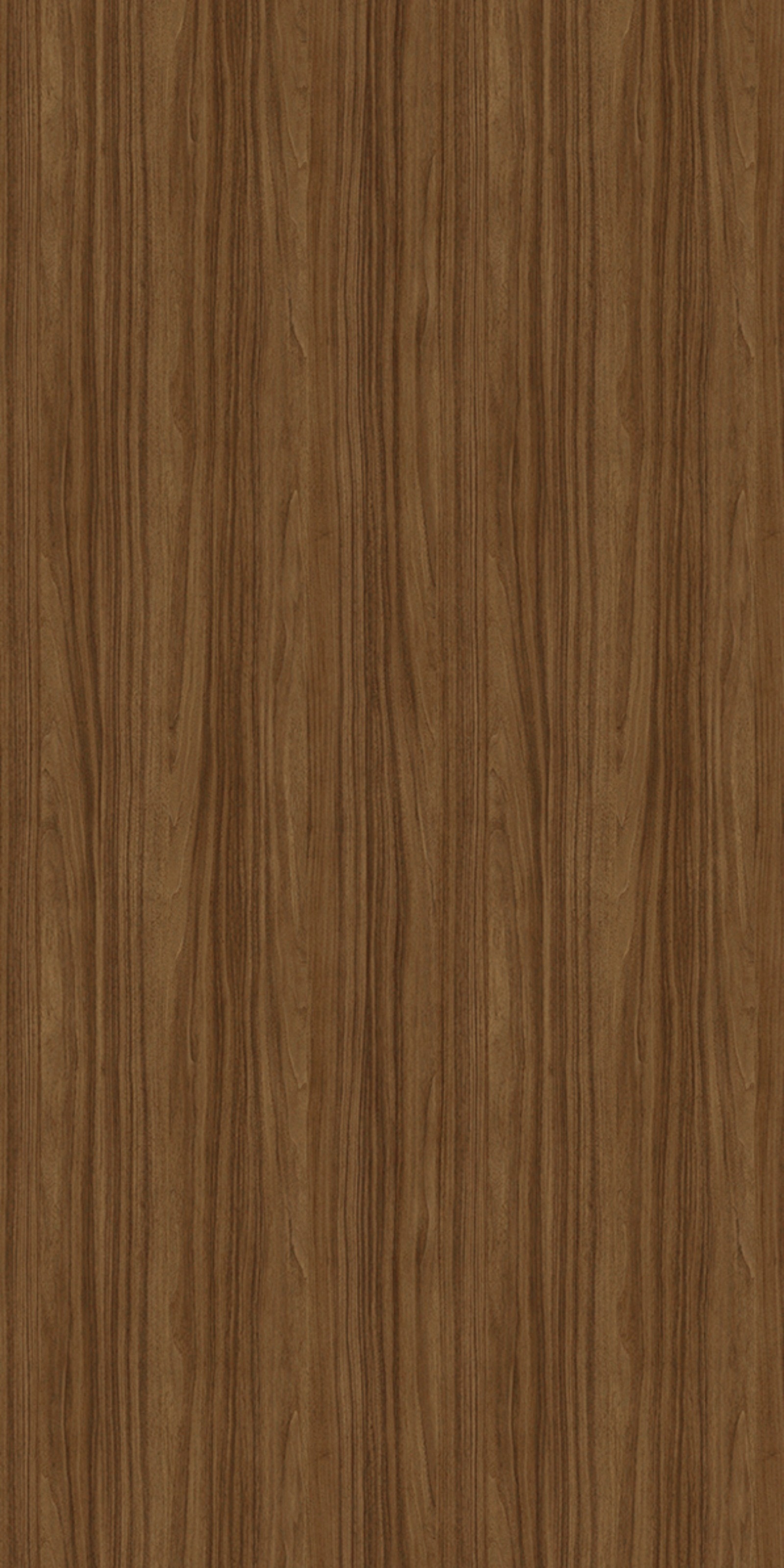 A close-up of a Wenge LM 14353 with a Texture finish Decorative Laminate available at Material Depot in Bangalore