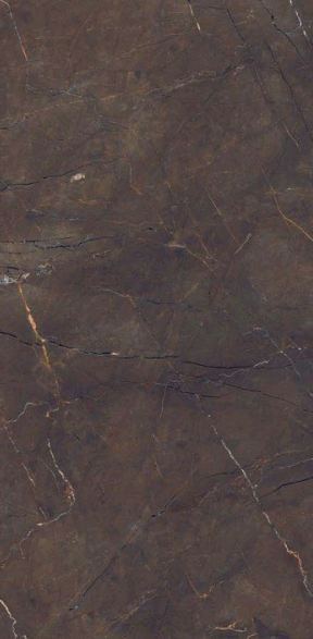 A close-up of aArc Choco HD Floor Series 600x1200 mm High Gloss Finish Floor Tile with a High Gloss finish available at Material Depot in Bangalore