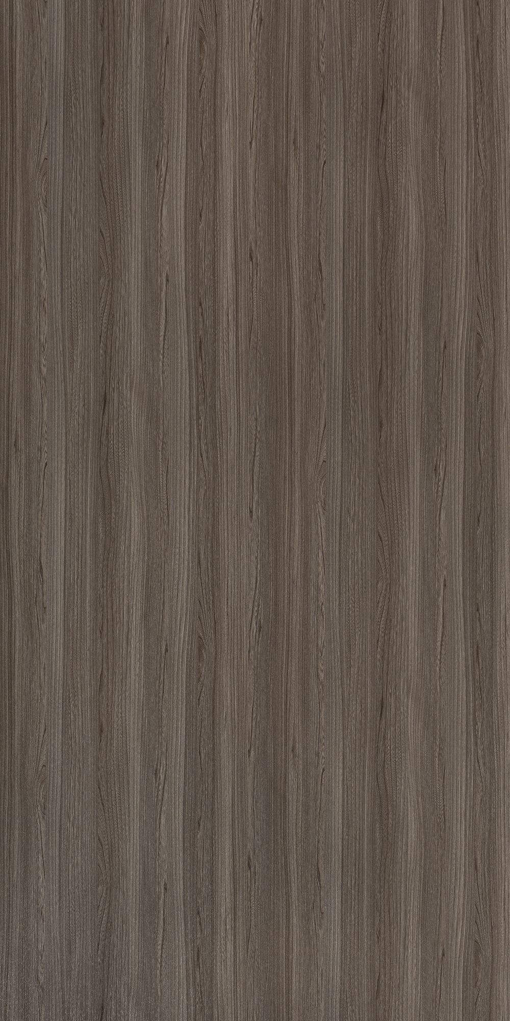 4363 A64 Tomega Elm Light 8 ft x 4 ft Montana Oak Finish Laminate - 1 mm | Image 01