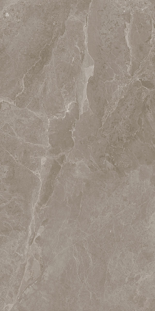 Marble Floor & Wall Tile TL 05510 B Lisburn Forest 2 ft x 4 ft Vitrified Lush Plus Matte Finish - 9 mm | 6 Random Design | Suitable for Living Room, Bedroom, Bathroom, Kitchen | Image 1