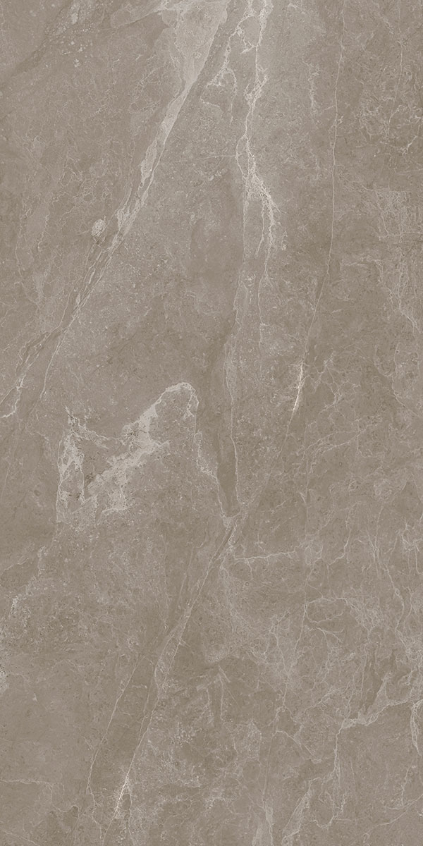 Marble Floor & Wall Tile TL 05510 B Lisburn Forest 2 ft x 4 ft Vitrified Lush Plus Matte Finish - 9 mm | 6 Random Design | Suitable for Living Room, Bedroom, Bathroom, Kitchen | Image 2