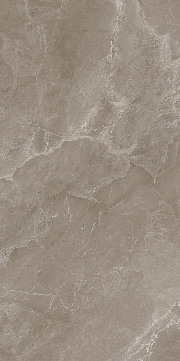 Marble Floor & Wall Tile TL 05510 B Lisburn Forest 2 ft x 4 ft Vitrified Lush Plus Matte Finish - 9 mm | 6 Random Design | Suitable for Living Room, Bedroom, Bathroom, Kitchen | Image 3