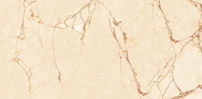 Leopard 6339 1200x600 mm Glossy Finish Premium Glaze Vitrified Tile - 9 mm | Image 1