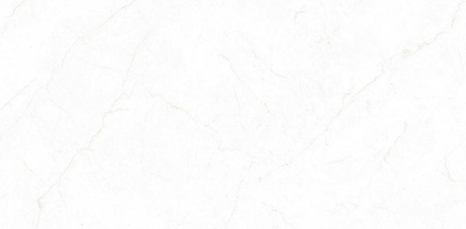 Leopard 6392 1200x600 mm Glossy Finish Premium Glaze Vitrified Tile - 9 mm | Image 1