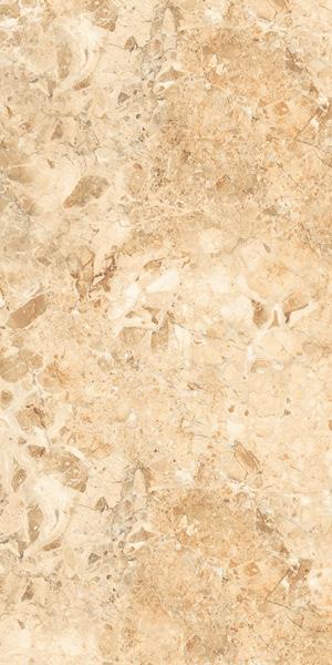 Leopard 6450 1200x600 mm Glossy Finish Premium Glaze Vitrified Tile - 9 mm | Image 1