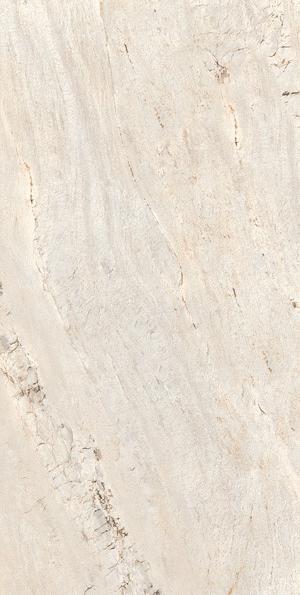 Leopard 6538 1200x600 mm Glossy Finish Premium Glaze Vitrified Tile - 9 mm | Image 1