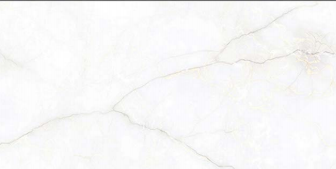 TL 02460 A Marble Ceramic Tile | Image -1